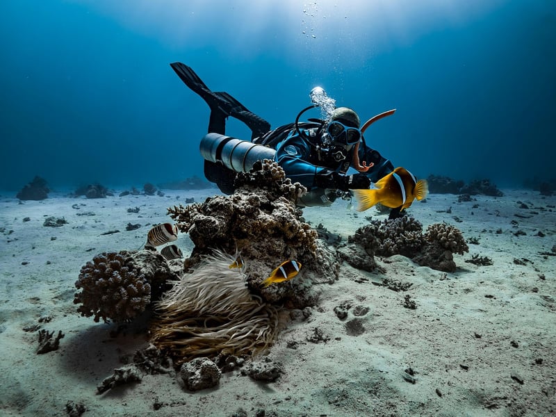Scuba Gear