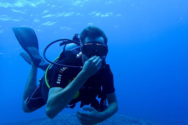 Diving Fins